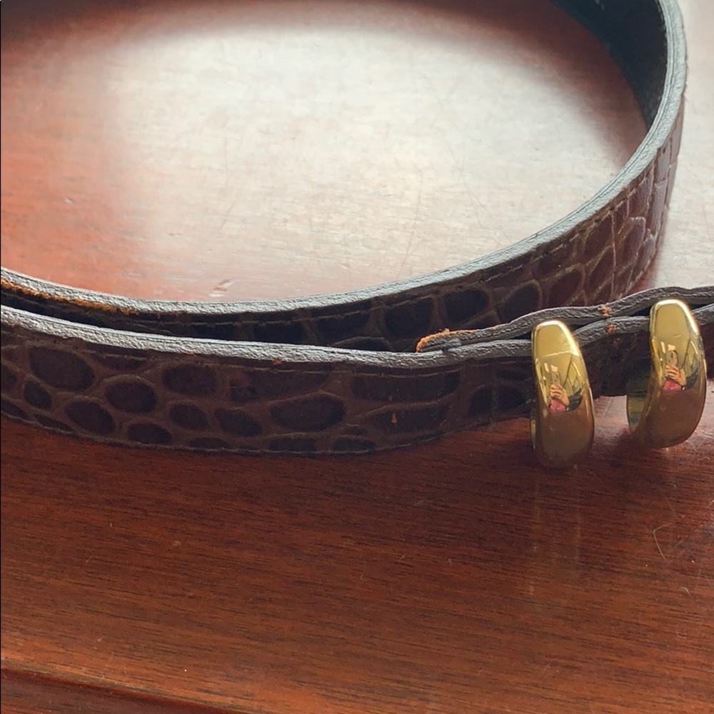 VERMILLION Brown Belt